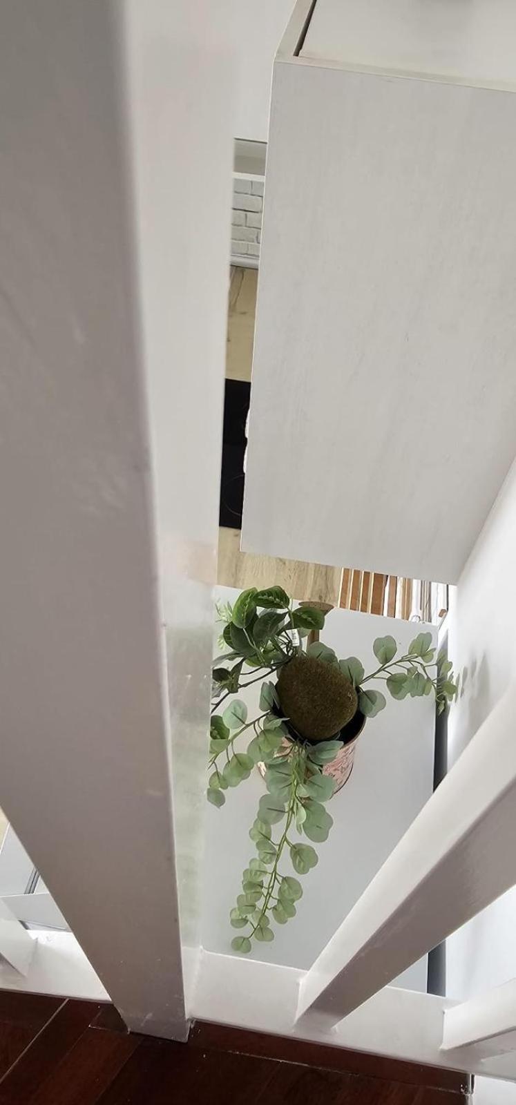 Apartamentos Tocororo Cotillo Екстериор снимка